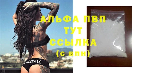 ECSTASY Магас