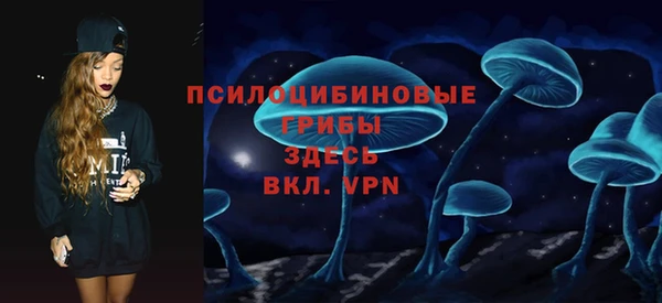 ECSTASY Магас