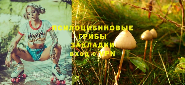 ECSTASY Магас