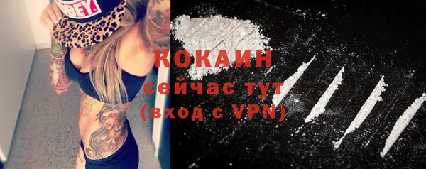 ECSTASY Магас